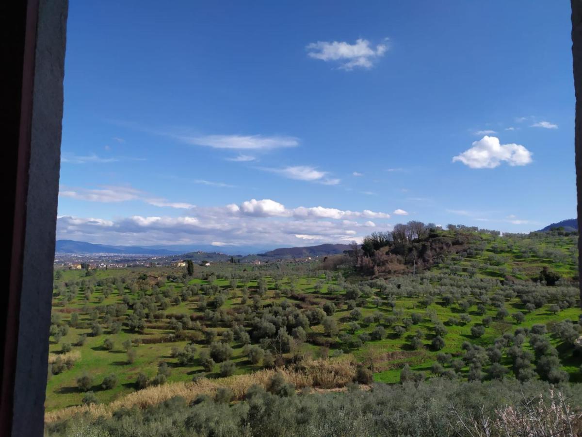 Casa L Oliveta Apartment Montemagno  Екстериор снимка